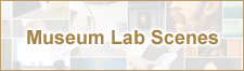 Museum Lab Scenes